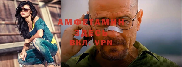 ГАЛЛЮЦИНОГЕННЫЕ ГРИБЫ Вяземский