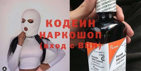 ГАЛЛЮЦИНОГЕННЫЕ ГРИБЫ Вяземский