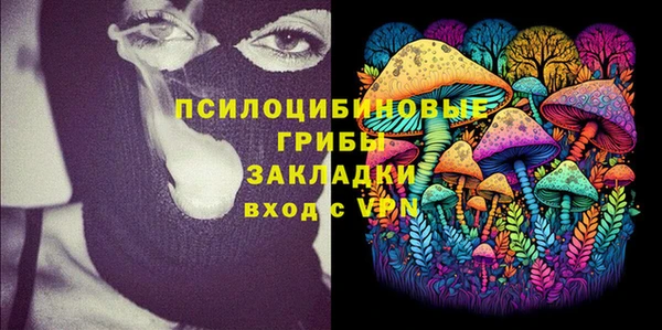 эйфоретик Верея